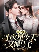 苏眠霍司爵