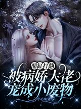 苏清颜陆霆琛