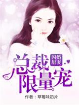 闪婚甜妻:总裁限量宠!