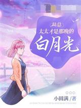 陆总,太太才是那晚的白月光