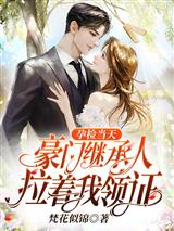孕检当天,豪门继承人拉着我领证