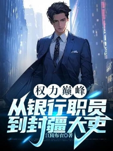 权力巅峰:从银行职员到封疆大吏